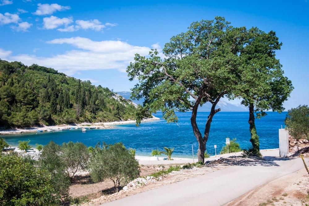 Apartmán Danguba Kremena Exteriér fotografie